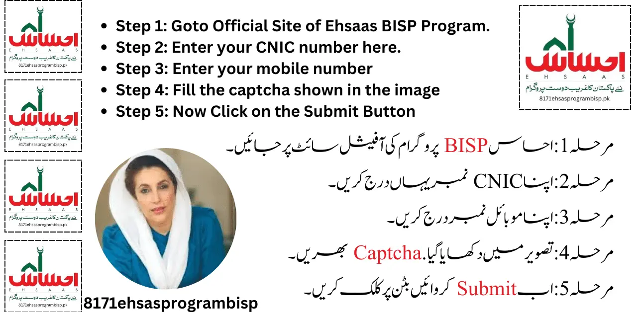 Ehsaas Program CNIC Check Online 25000 2024